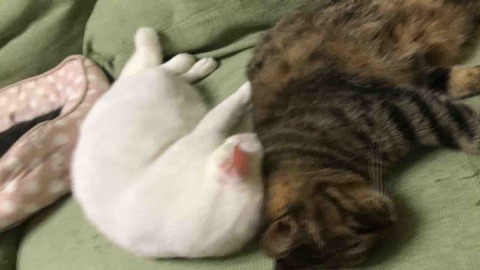 BEBD8AD3-EAF3-4EED-A8F5-EDF1178E23A2