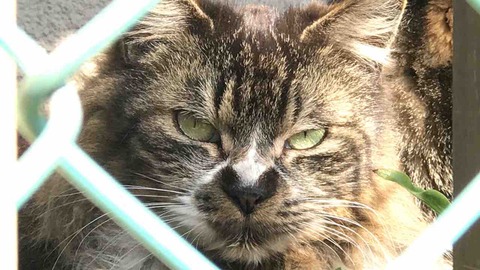 E56BDBC3-0B1A-4EF2-8200-7E95EDBED2F1