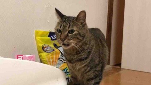 4EB130C9-2429-4A86-9DC2-6ED057365F54