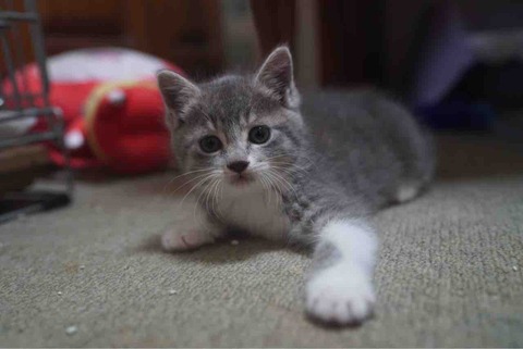 2E94BC8E-FA16-4E9F-86FA-C71B19391736