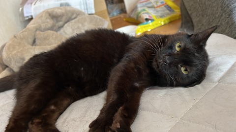 写真 2022-09-05 7 02 38