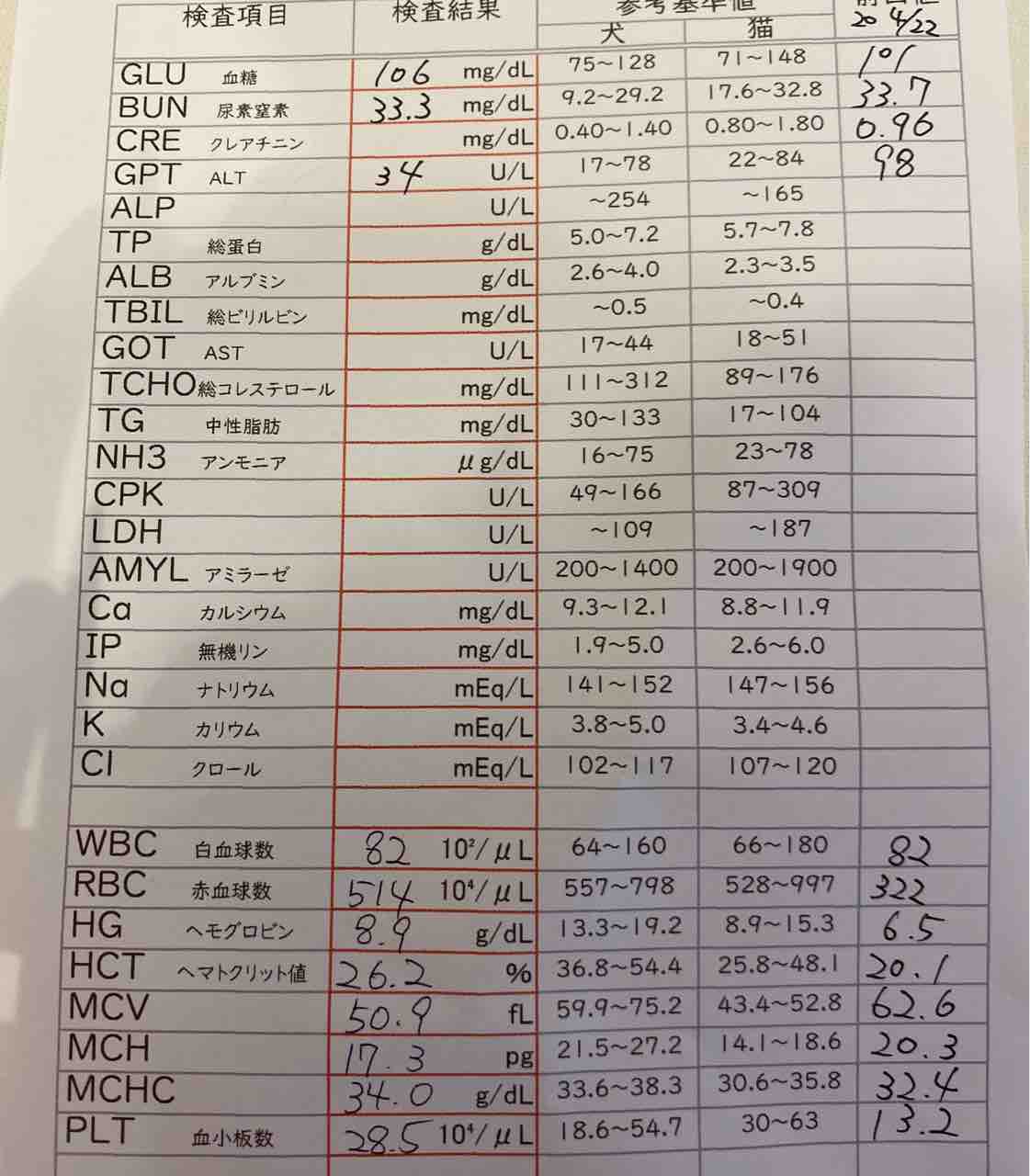 元重鎮猫、検診と検査を受ける 20200530 : ねこかます