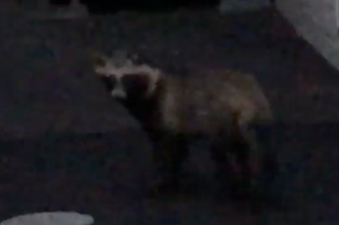 スクリーンショット 2025-11-08 22.24.01