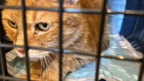 写真 2023-06-20 17 00 59