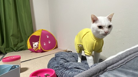 写真 2022-05-30 0 49 32