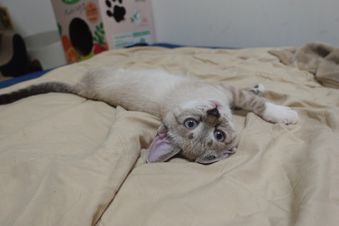 DSC05554