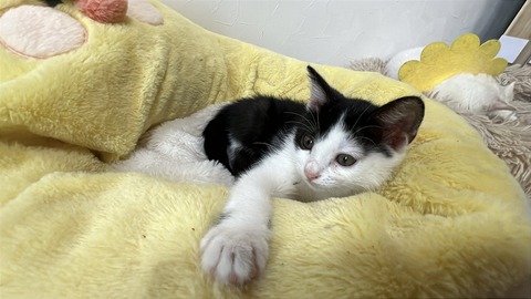 写真 2025-09-21 11 25 51