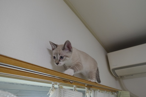 DSC05525