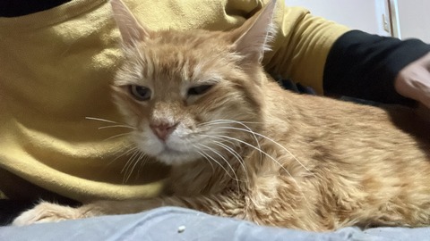 写真 2025-10-02 3 25 23