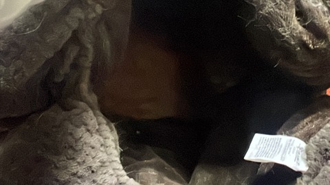 写真 2024-01-11 2 54 49