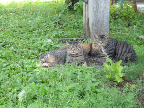 P1000245