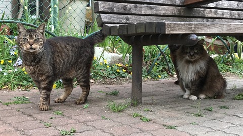 Photo 2019-03-27 14 42 42