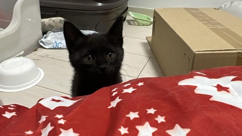 写真 2023-12-01 5 01 03