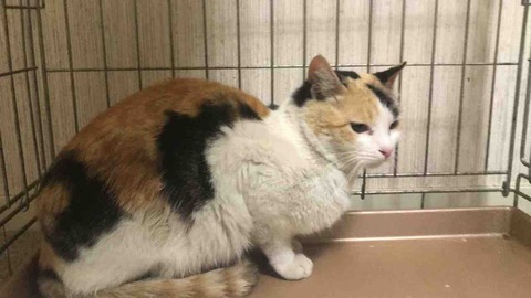 9F619CB2-9768-47F9-A0E9-812CA496391C