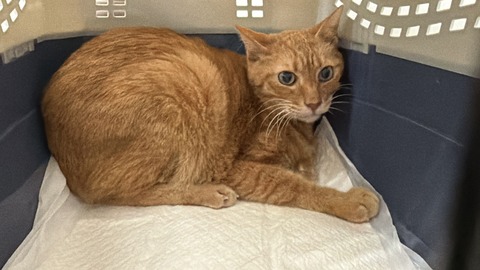 写真 2025-11-05 10 06 40