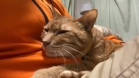 写真 2019-12-10 19 24 53