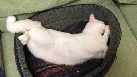 AED3B97E-A105-4D9E-BA48-254BDD429F91