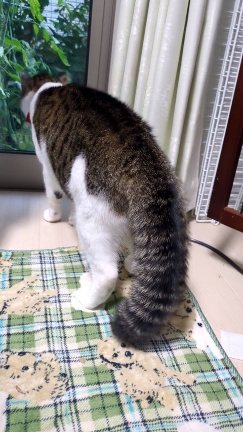 写真 2025-07-25 5 14 25 (2)