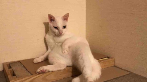 61EA0244-CE59-4DA6-862F-792E68BC0BC2