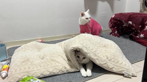 写真 2024-01-06 6 16 31