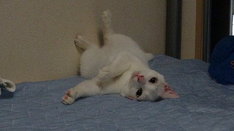 DSC00720