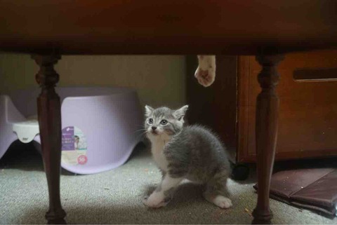 79857260-F214-4457-BE4F-4CA54EE48DA5