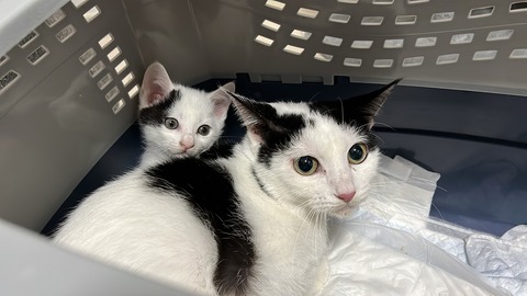 写真 2021-11-08 20 58 56 (1)