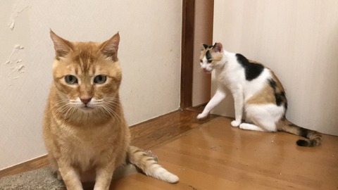 写真 2019-08-28 23 19 47