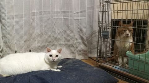 写真 2019-07-12 22 50 57