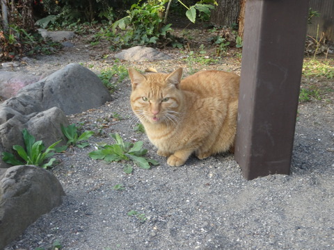 DSC06638
