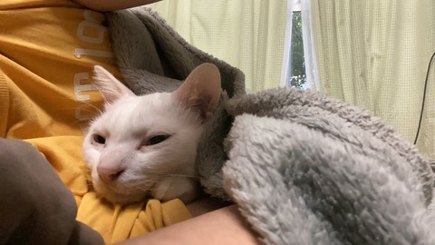 写真 2019-10-12 8 56 20