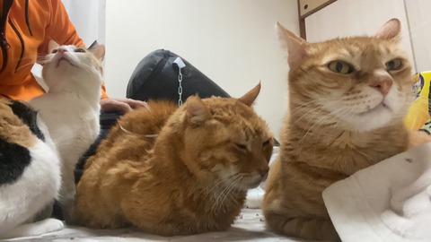 写真 2021-01-03 2 20 07