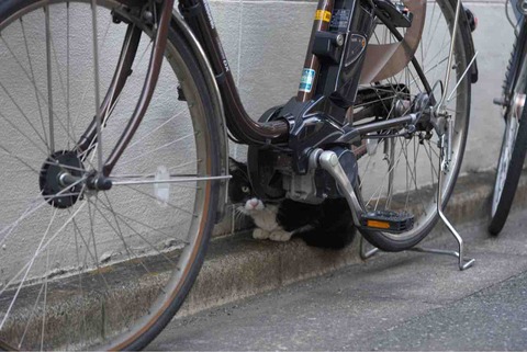 415E797C-6B5C-47F5-8D4E-3C33ADF0BDB4