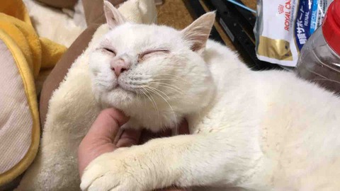 A0A142F4-DC1F-43C6-BCCB-17D6945D88E6