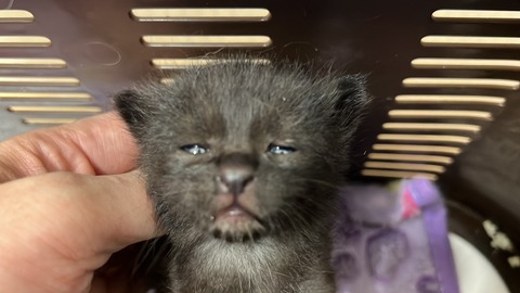 写真 2023-10-12 9 10 03