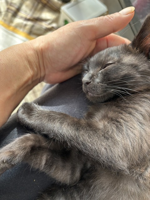 写真 2023-12-08 14 39 07