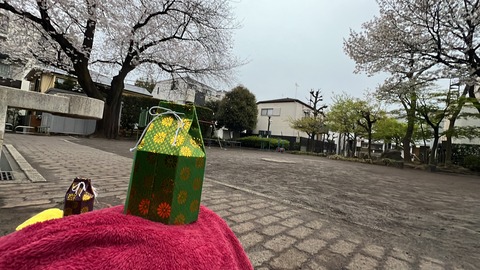 写真 2024-04-06 5 54 00