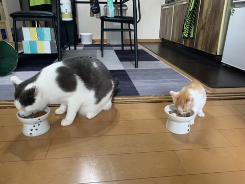 CB96A849-4C8C-4187-AD2A-369E2C38C89D