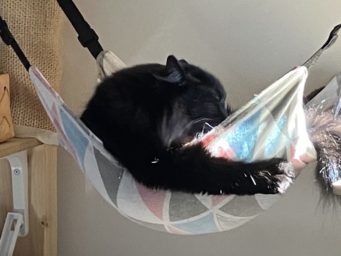 IMG_1189 - コピー