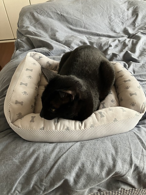 IMG_1105 - コピー