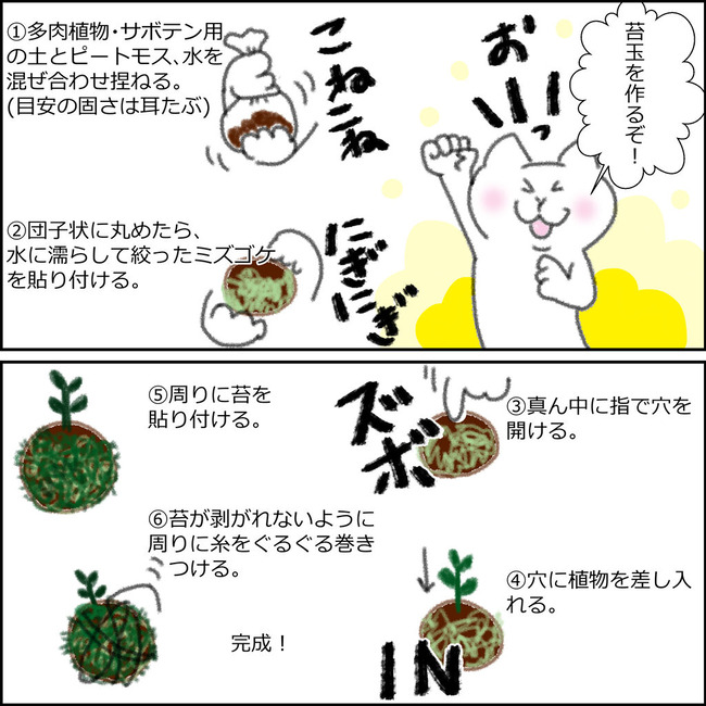 苔玉