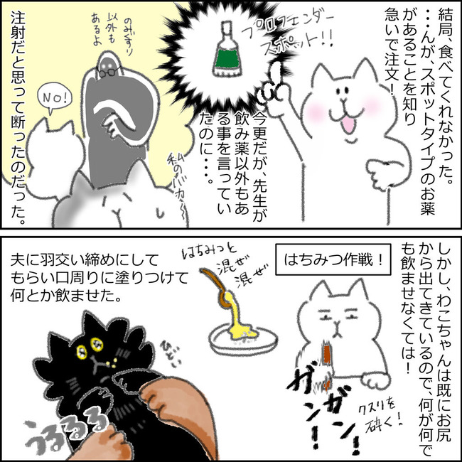 虫 続