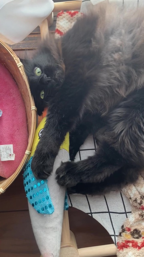 IMG_0869 - frame at 0m6s