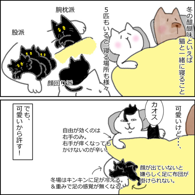 猫と寝る