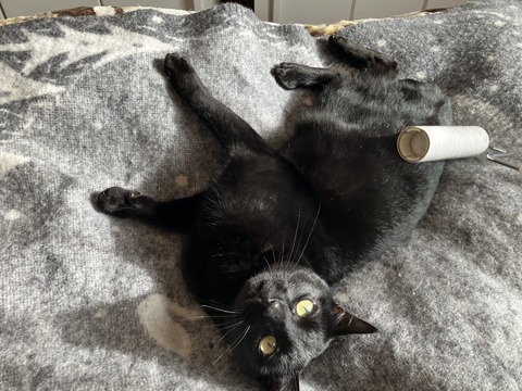 IMG_0887 - コピー