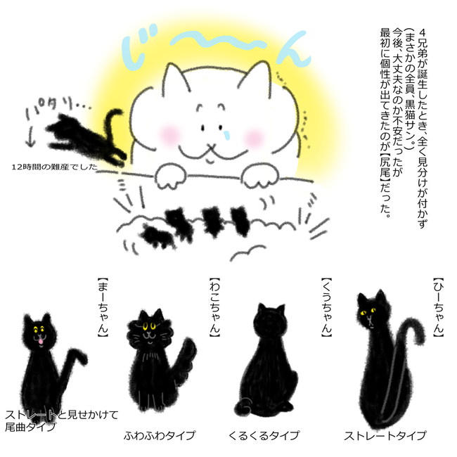 尻尾