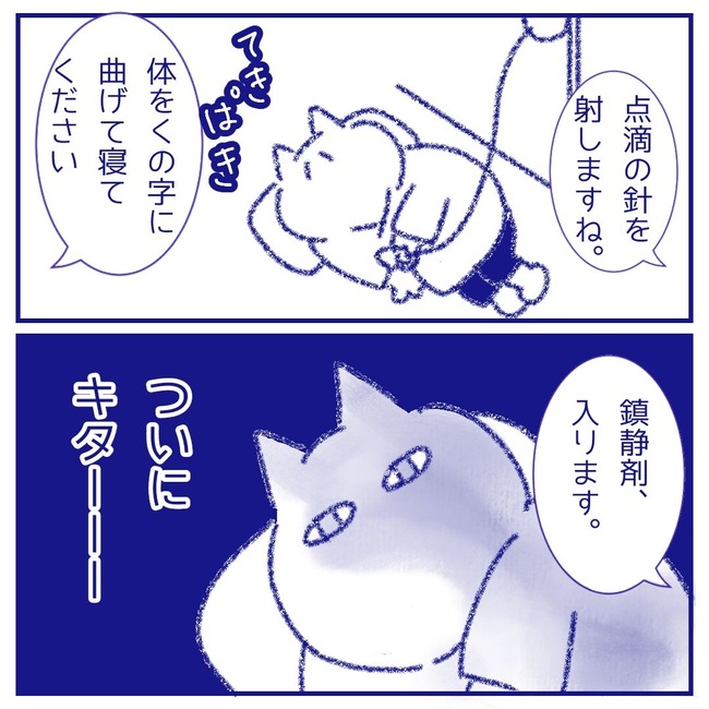 無題195_20260314210503