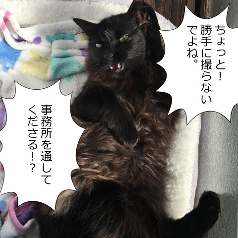 お昼寝わこ