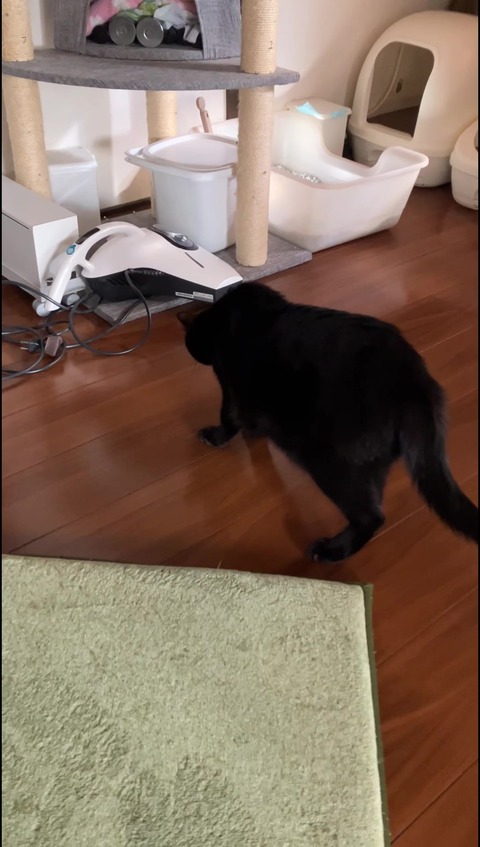 IMG_1211 - frame at 0m0s