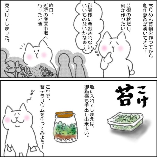 苔テラリウム